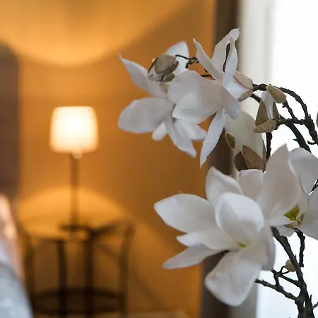 Grandhotel Salva 4* Litomerice